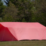 Festival 3