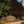 Nomadic Yurt