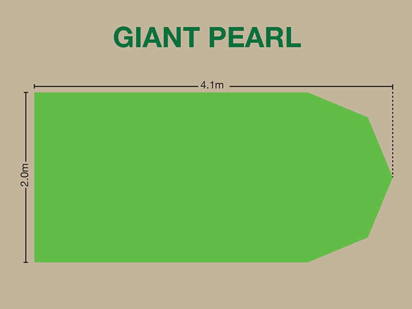 Giant Pearl